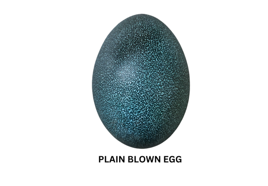 Emu Eggs